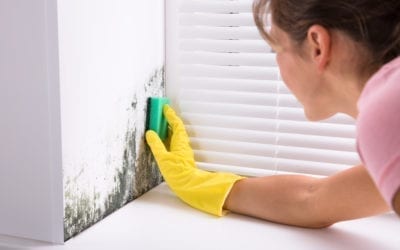Finding Natural Ways To Attack The Mould Problem In Your Home