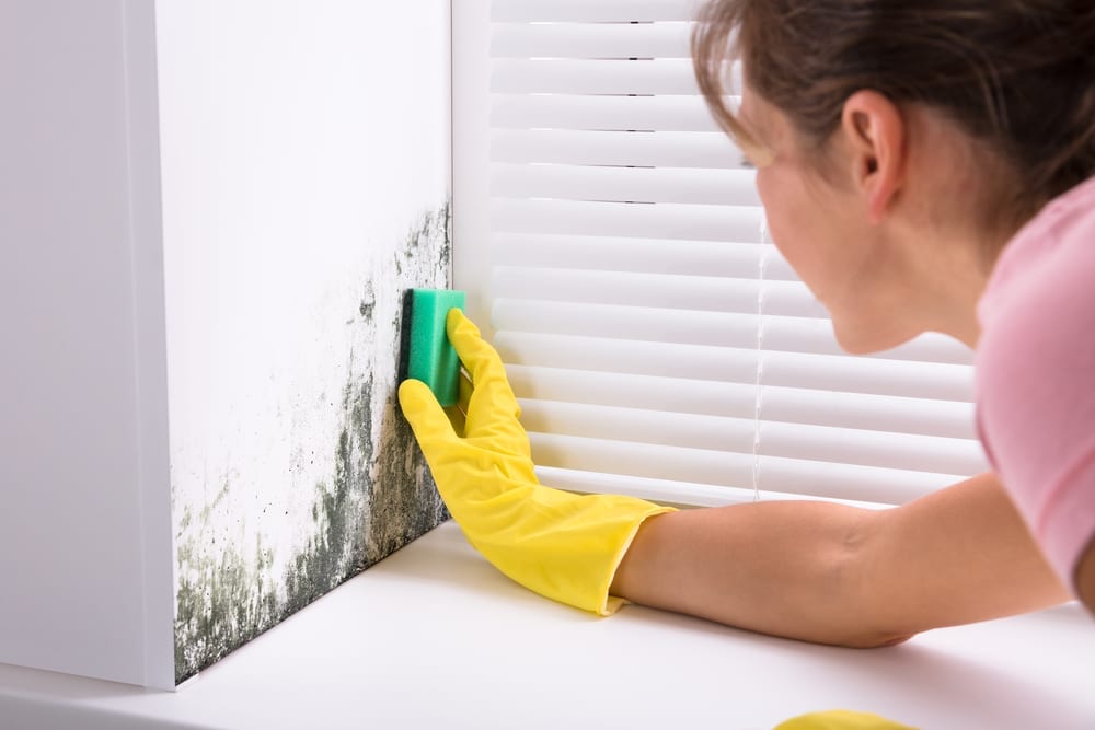 Finding Natural Ways To Attack The Mould Problem In Your Home